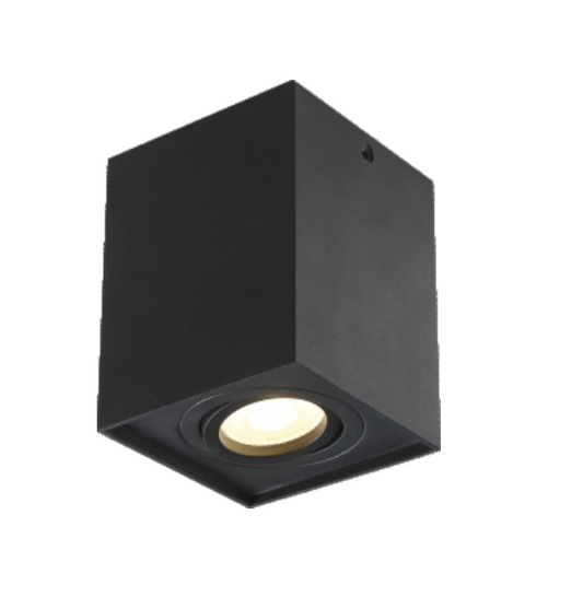 MJ-1204 Ceiling Lamp