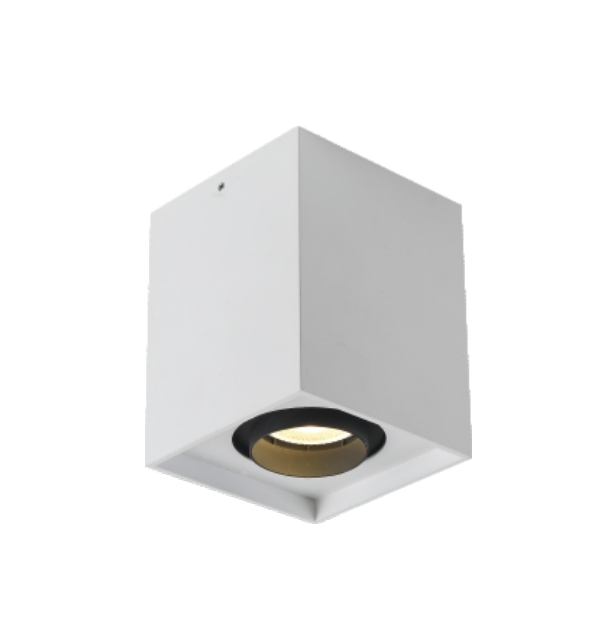 MJ-1139 Ceiling Lamp
