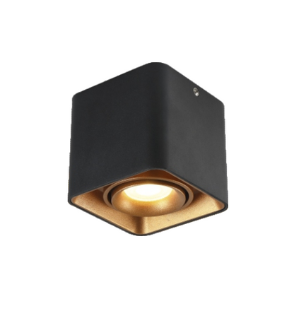 MJ-1205 Ceiling Lamp
